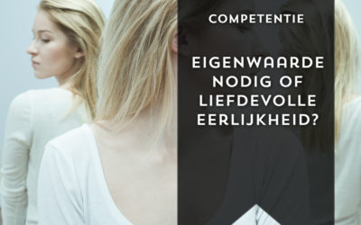 Eigenwaarde overschat